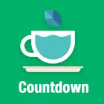 Countdown widget - Fancy styles countdown timer App Contact