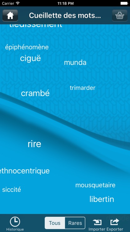French dictionary DIXEL Mobile screenshot-4