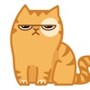 Grumpiest Cat Sticker