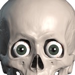 Download Skelly Stickers: Skulls and Skeletons app