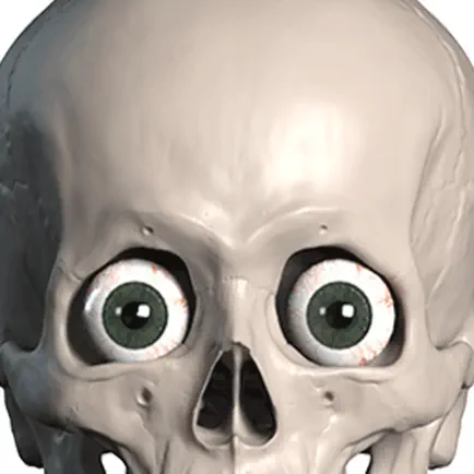 Skelly Stickers: Skulls and Skeletons Cheats