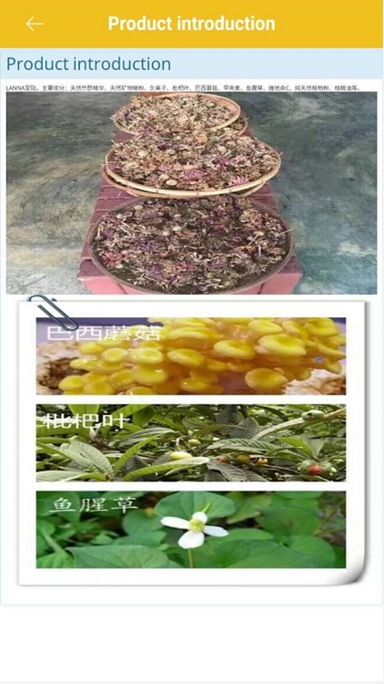 LANNA FOOT PATCH screenshot-4