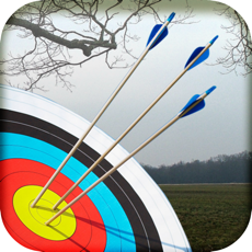 Activities of Archery Master 3D Advance