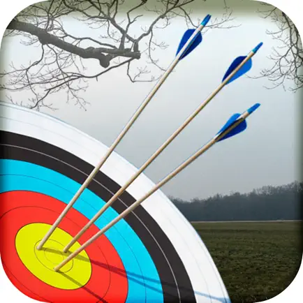Archery Master 3D Advance Cheats