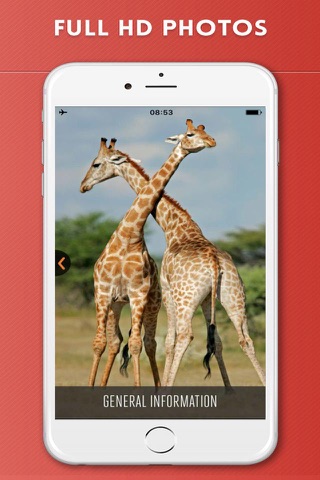 Etosha National Park Visitor Guide screenshot 2