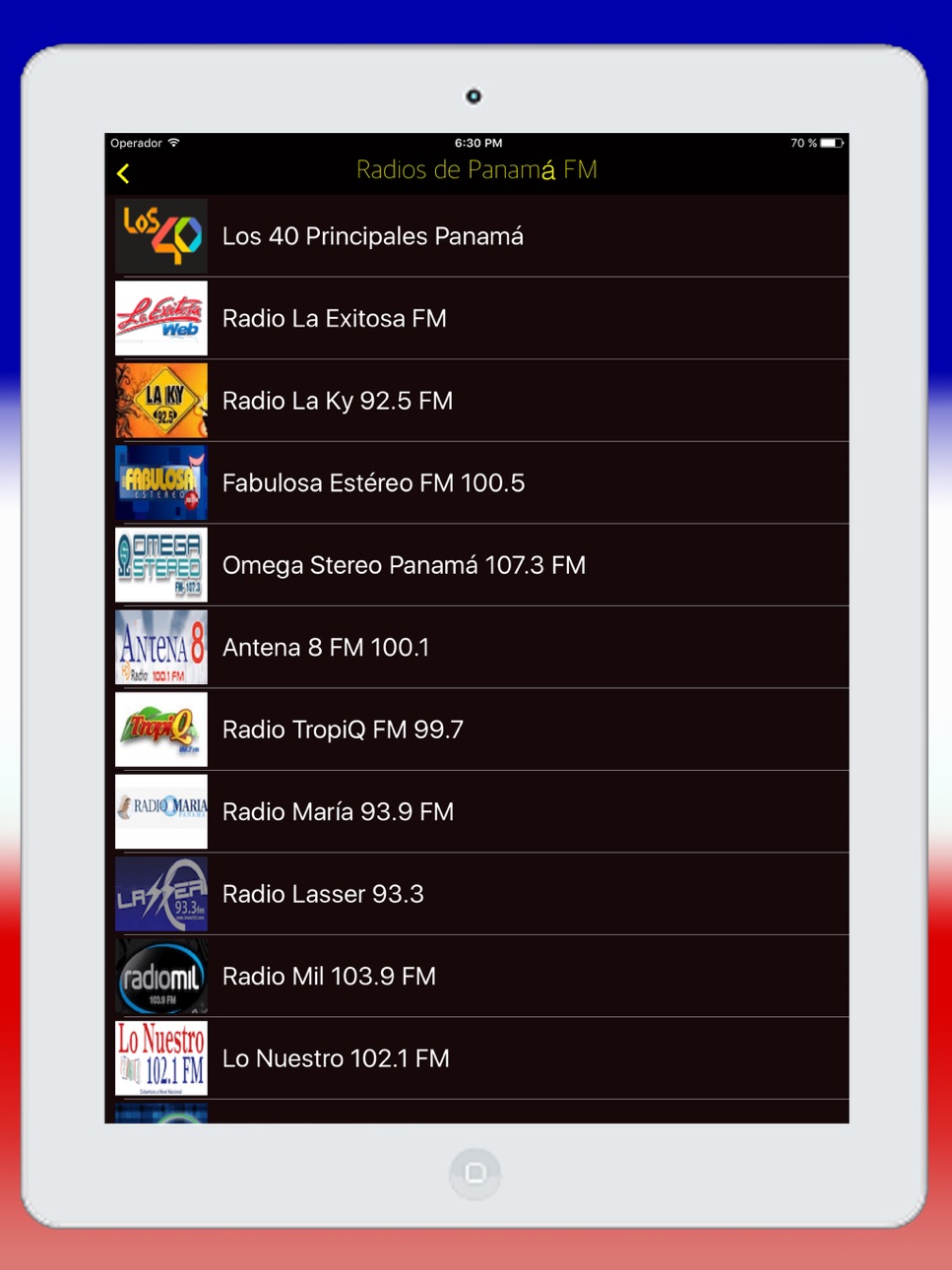 iPad screenshot