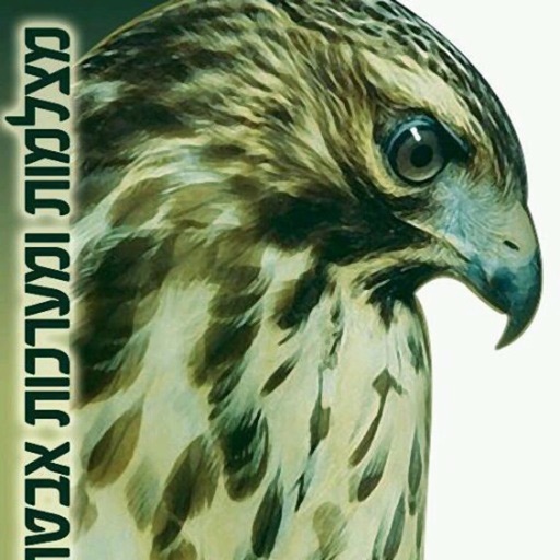 Hawk Eyes by AppsVillage icon