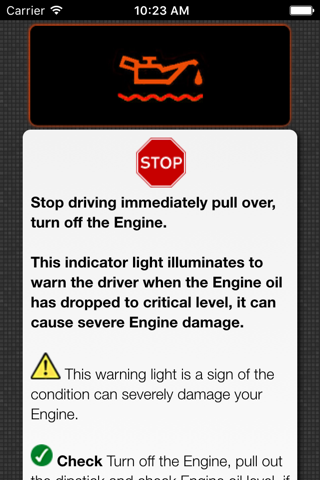 Car Warning Lights Explained screenshot 3
