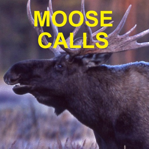 Moose Calls for Moose Hunting Icon