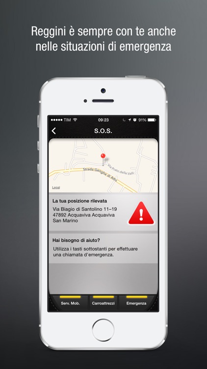 Reggini Auto screenshot-4