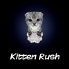 Kitten Rush