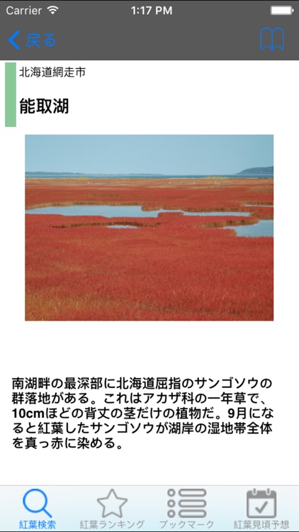 Japanese Autumnal leaves Guide