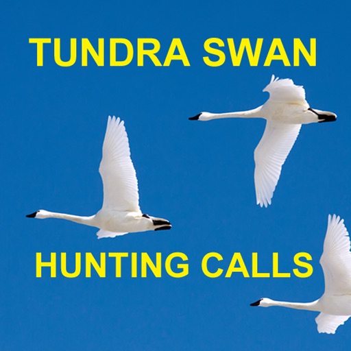 Tundra Swan Hunting Calls -BLUETOOTH COMPATIBLE HD iOS App