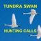 Tundra Swan Hunting Calls -BLUETOOTH COMPATIBLE HD