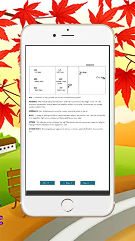 Game screenshot Основные волейбольная Словарь apk