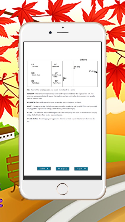 Free Basic VolleyBall Vocabulary