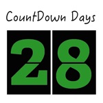 Countdown Day - Record Important Day In Your Life