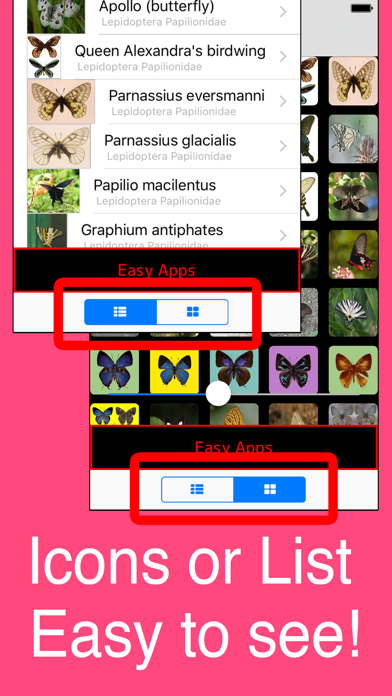 World Butterflies! screenshot