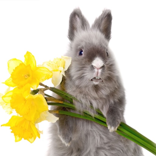 A Talking Easter Bunny iOS App