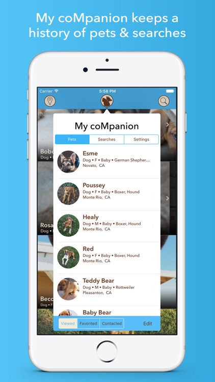 coMpanion - Pet Finder and Adoption Assistant screenshot-3