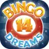 Bingo Dreams Bingo - Fun Bingo Games & Bonus Games App Feedback