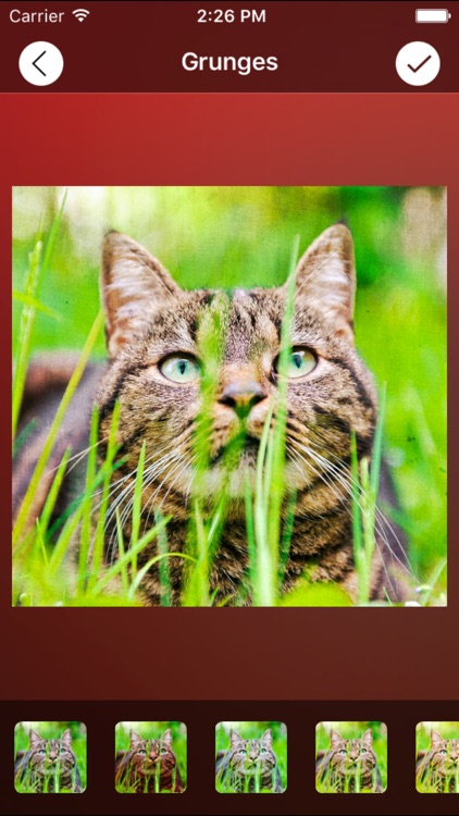 Retry Camera∞ screenshot-3