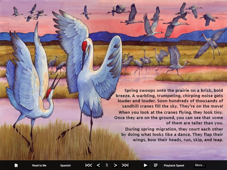 Fun eReader Picture Books