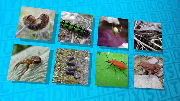 Wordsearch Revealer Critters screenshot-4