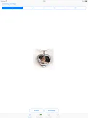 pendantlab pendentifs iPad Captures Décran 4