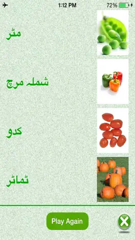Game screenshot Flashcards Urdu Lesson hack