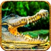 2016 3D Alligator Sniper Attack - Crocodile Wildlife Reload Hunting Simulator