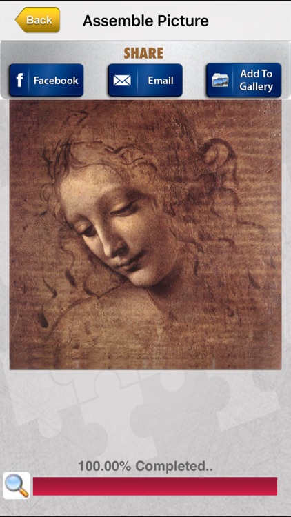 Leonardo Jigsaw screenshot-4