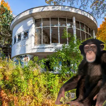 Abandoned Building Monkey Escape Cheats
