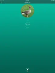 Охотничий манок на гуся айпад изображения 2
