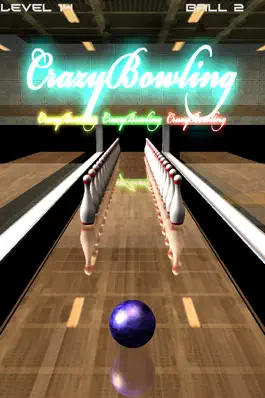 Game screenshot Crazy Bowling apk