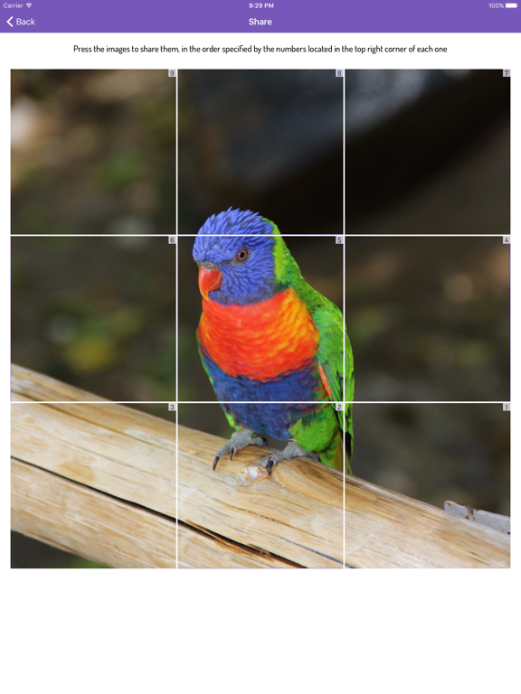 Screenshot #6 pour PicGrid for Instagram