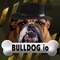 Bulldog io