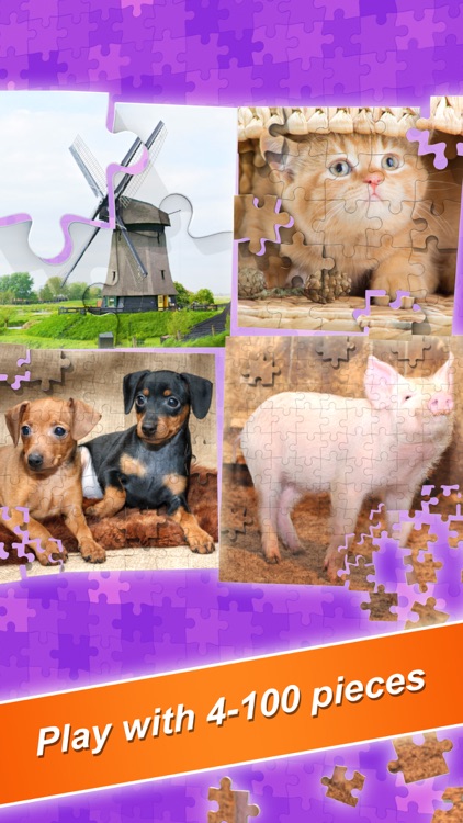 Jigsaw : World's Biggest Jig Saw Puzzle