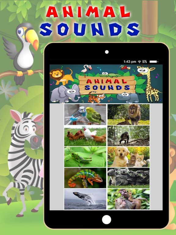 Screenshot #5 pour Animal Sounds - Toddler Animal Sounds and Pictures