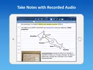 AudioNote Lite - Notepad and Voice Recorder ipad bilder 0