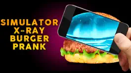 Game screenshot Simulator X-Ray Burger Prank mod apk