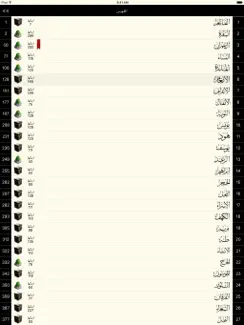 القرآن الكريم - مصحف المدينة iPad image 3