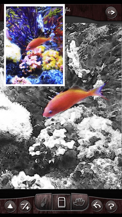 Colorful-The awesome photo splash editing app