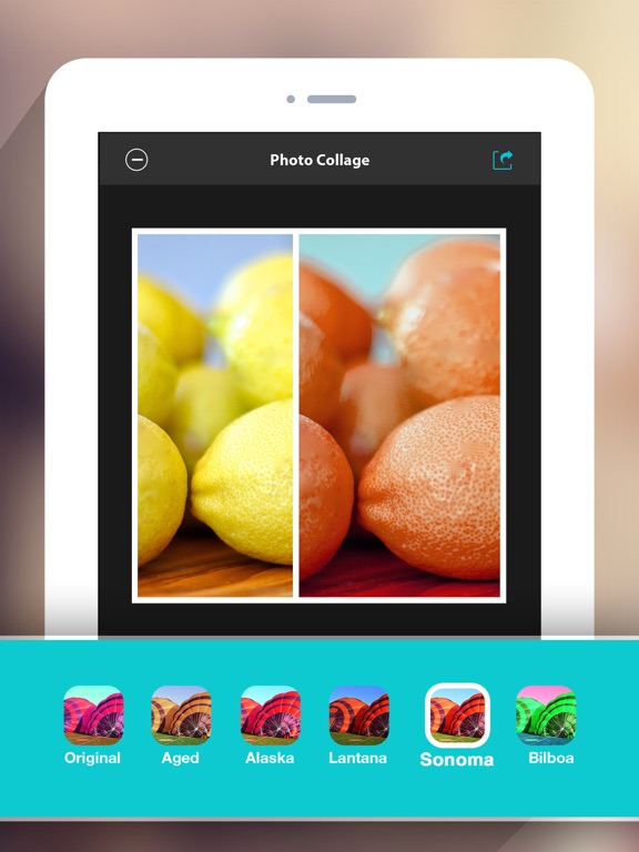 Photo Collage HD Pro – Pic Frame Maker Grid Editor iPad screenshot 5 - Reference app