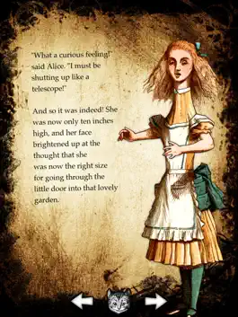 Game screenshot Alice for the iPad hack