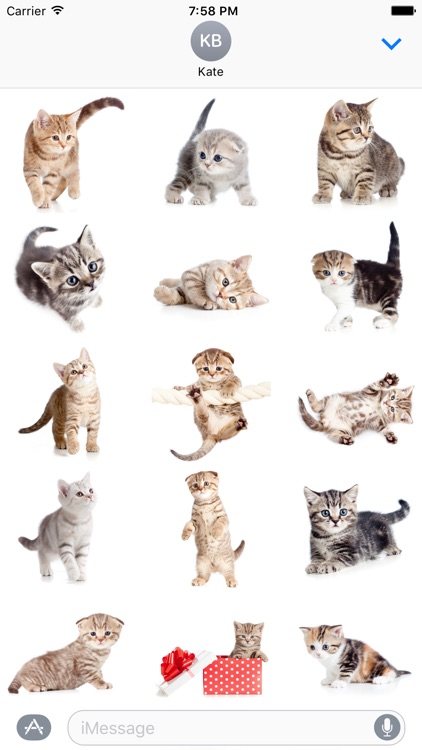 Cute Kittens Sticker Pack