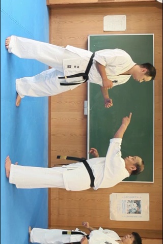 KYOKUSHIN KARATE TO WIN 2 screenshot 4