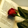 Gedicht generator - voor originele en last minute Valentijnsgedichten