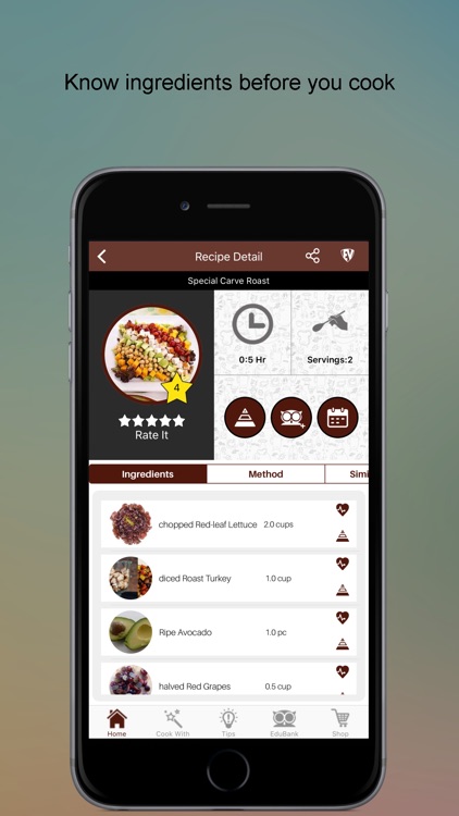 Barbeque and Grill Recipes screenshot-3