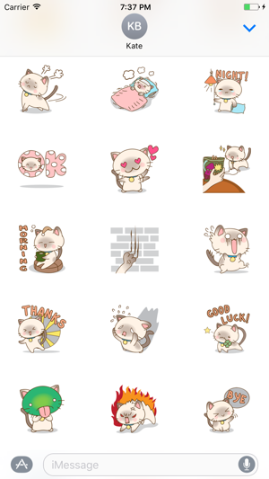 Funny Kitten Sticker(圖2)-速報App